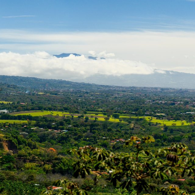 Panorámica del Valle Central de Costa Rica, desde Poás de Alajuela.
#panoramicview #panoramic #pano #panorama #fotografiadepaisaje #fotografía #photography #nikon #nikonz #nikonshooters #costarica #paisajesdecostarica #paisajesdelmundo
